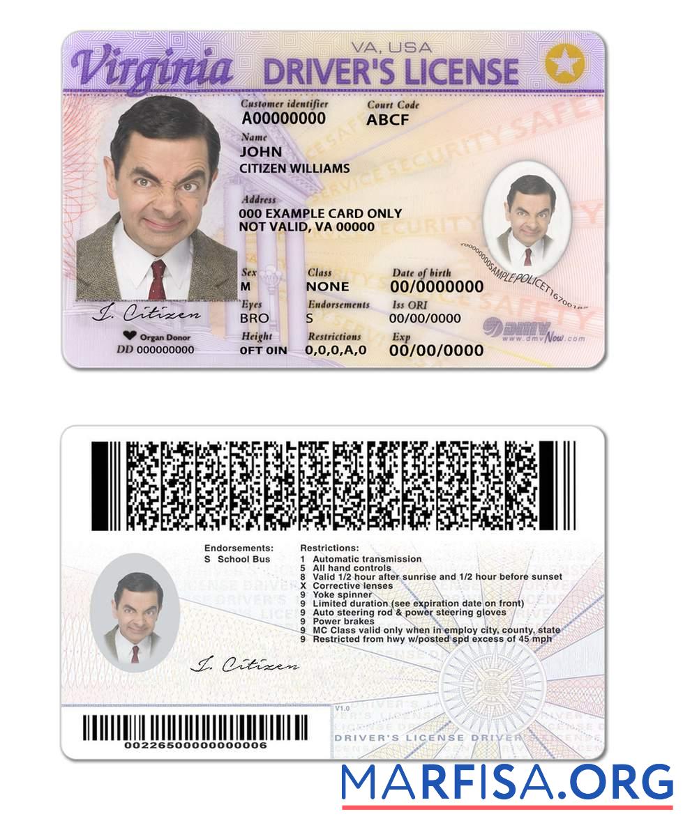 Realistic USA Virginia driving license template